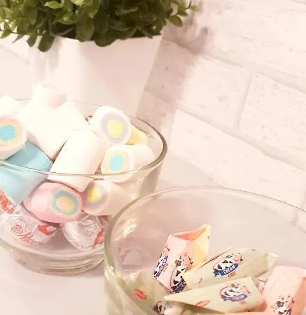 Mila ノヴィ・サド